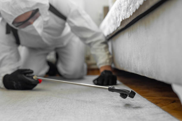 Professional Pest Control technician working in Provo, UT