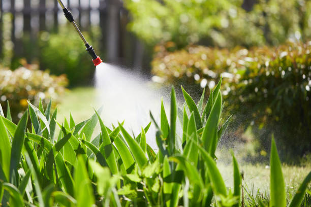 24/7 Emergency Pest Control experts in Provo, UT