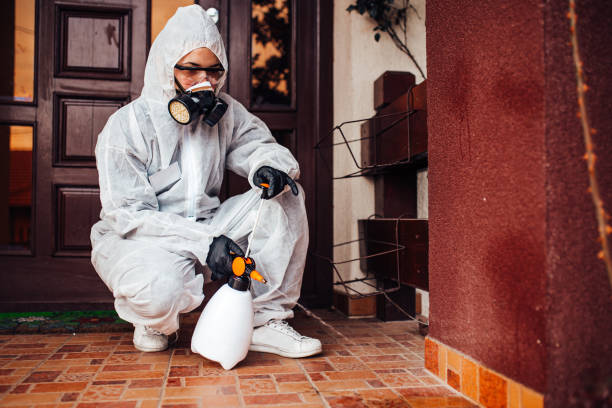 Reliable Pest Control contractor in Provo, UT by Nex Pest Control